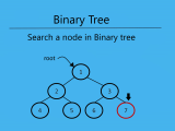 Search A Node In Binary Tree Procoding