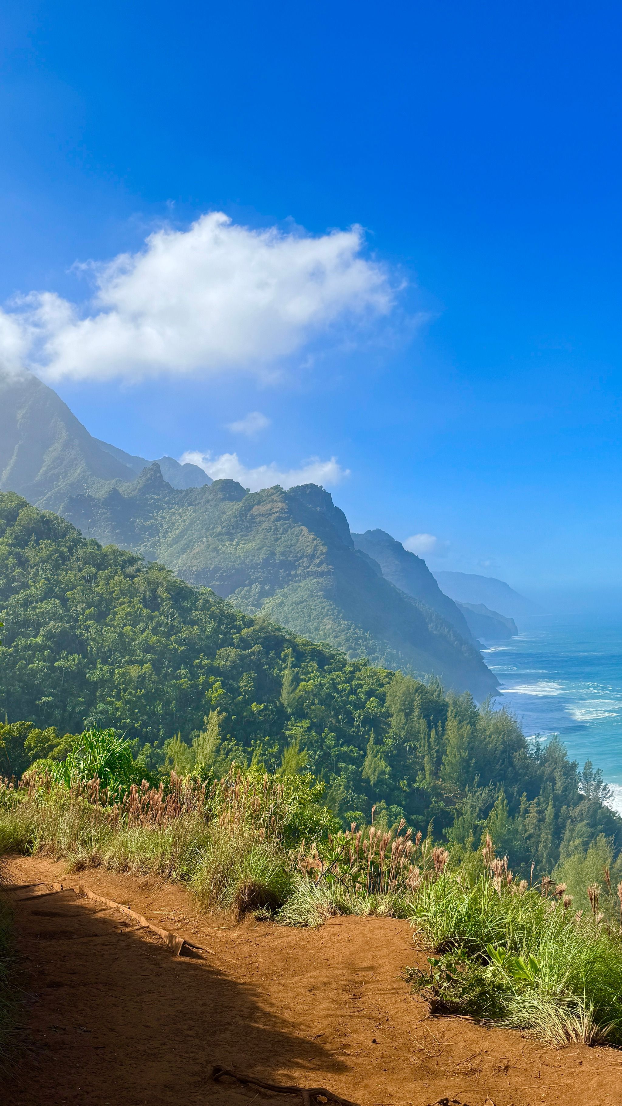 Rexby - Sunset Arts - Creative 4K Collection