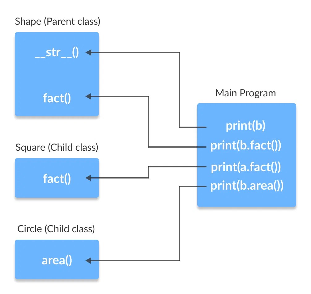 Polymorphism in Python(with Examples)