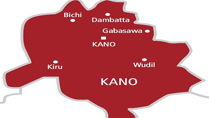 Kano's Free Healthcare Initiative: Empowering 1,500 Women and Children (2026)