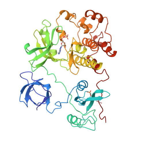 The biochemical mechanism by which insulin induces adipogenesis, converting fibroblast cells to adipocytes, is not clear. Rcsb Pdb 2src Crystal Structure Of Human Tyrosine Protein Kinase C Src In Complex With Amp Pnp