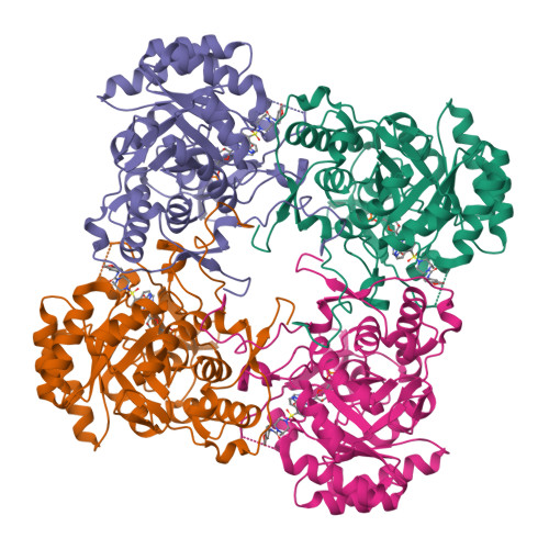 Ice cream terdiri atas dua kata dasar; Rcsb Pdb 6d4t M Thermoresistible Guab2 Delta Cbs In Complex With Inhibitor Compound 45 Vcc117054