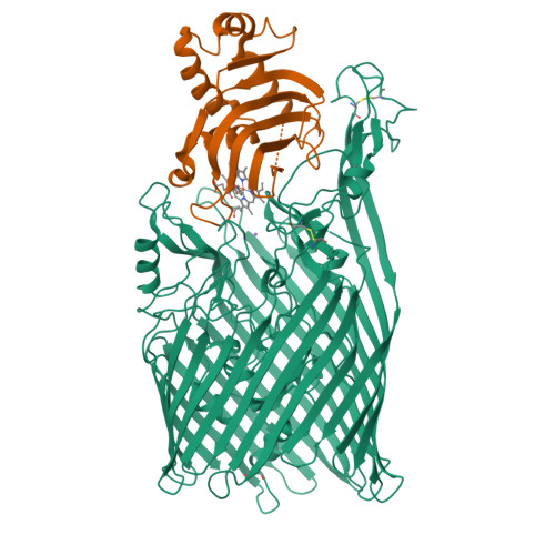 RCSB PDB - 3DDR: Structure of the Serratia marcescens hemophore receptor  HasR-Ile671Gly mutant in complex with its hemophore HasA and heme