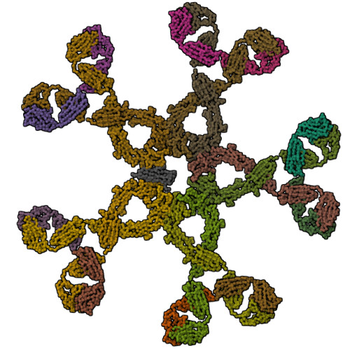 Rcsb Pdb 2rcj Solution Structure Of Human Immunoglobulin M