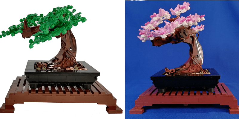 Where Did Bonsai Trees Originate - The Ancient History And Symbolic Meaning Of The Bonsai Tree - Some tree species are better suited to bonsai training than others.