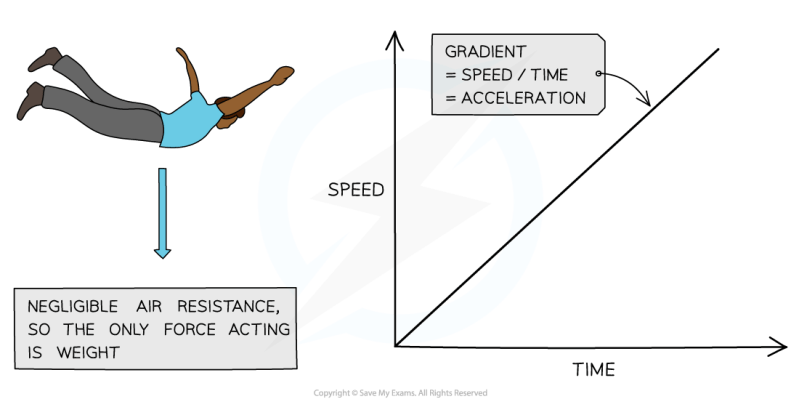 Freefall System Pdf - Premium Mobile Nature Designs | Free Download