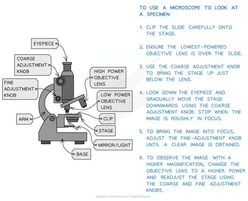 Ultimate Guide To Microscopes Microscopes 101 - Vintage Images - Gorgeous Ultra HD Collection