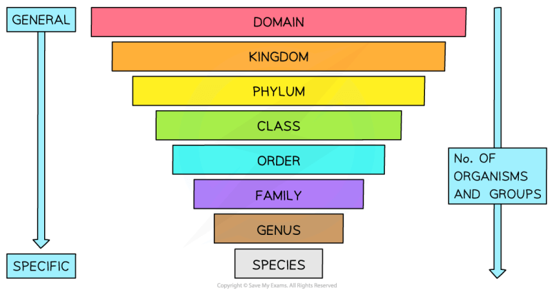 An Anagram Classification System Pdf - Elegant Space Image - High Resolution