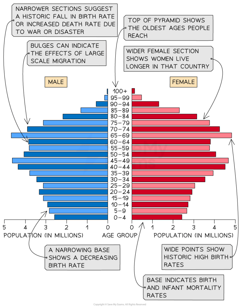 Population Pyramid Example Vega - Premium Vintage Wallpaper Gallery - Desktop