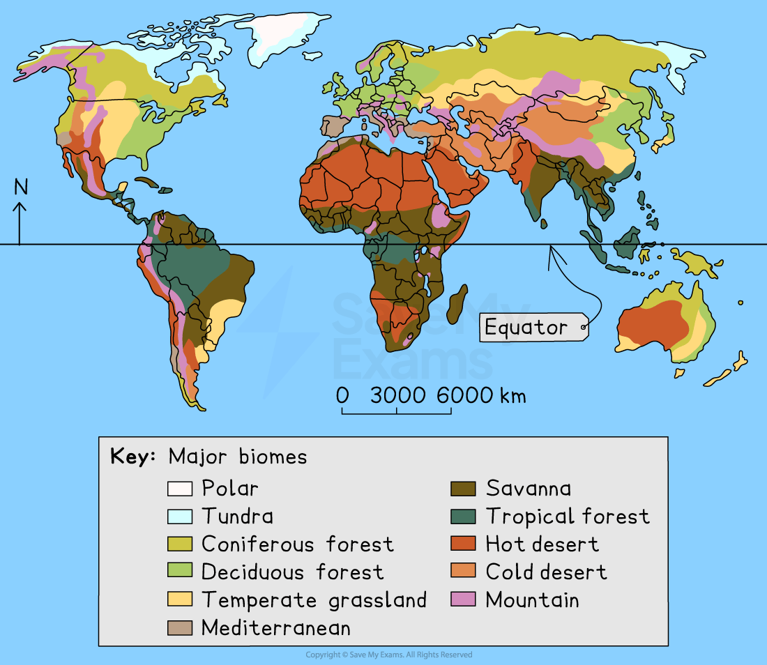 Between Climate Biomes WJEC Eduqas GCSE Geography B 50590 Of World Biomes 1 