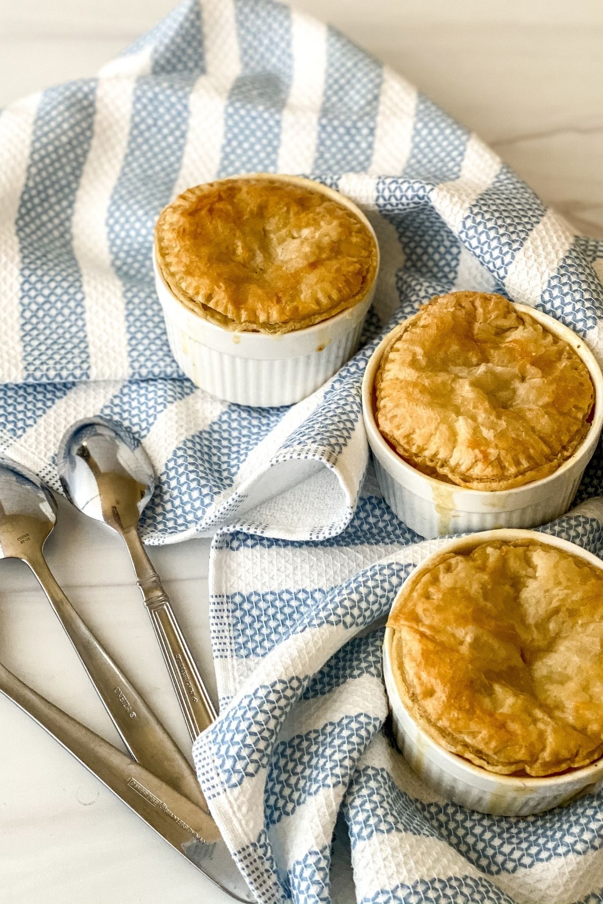Add onions, carrots, celery, chives and garlic, and saute until tender. Easy Mini Chicken Pot Pies Recipe With Freezer Meal Option