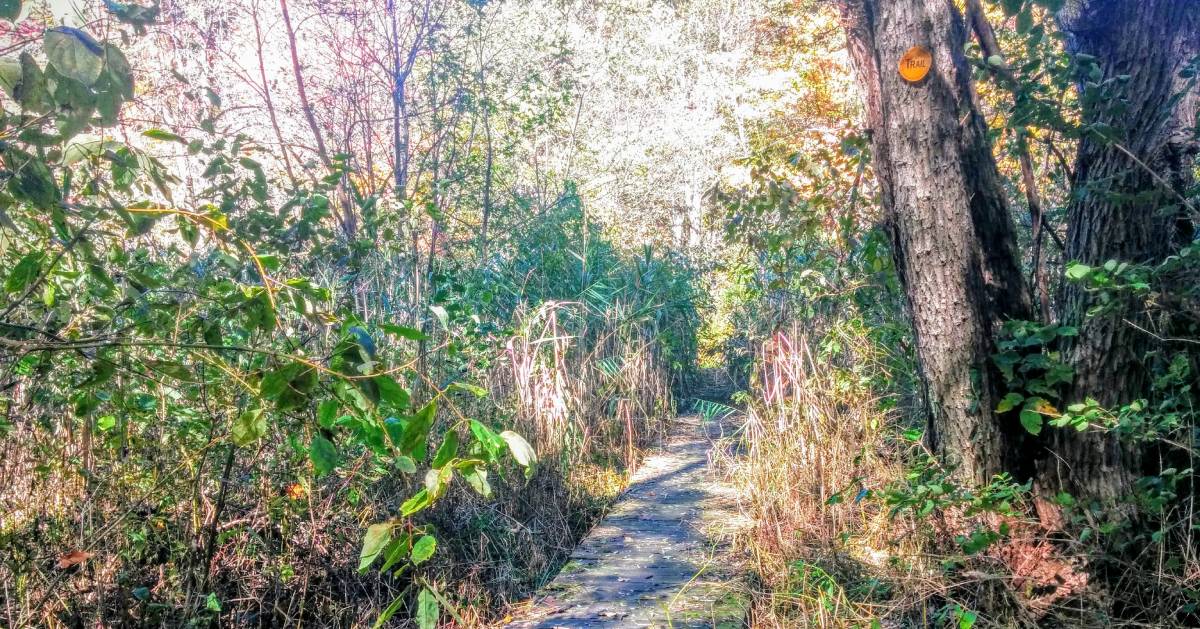 Place your palms on the ball alongside. Where To Hike And Bike In Clifton Park Ny Trails Preserves More