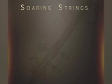 Soaring Strings Pluginsmasters