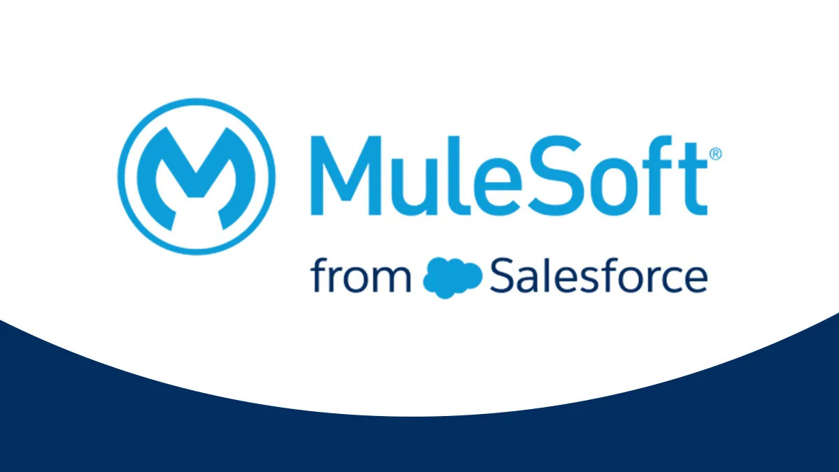 Mulesoft Developer Skills You Must Have