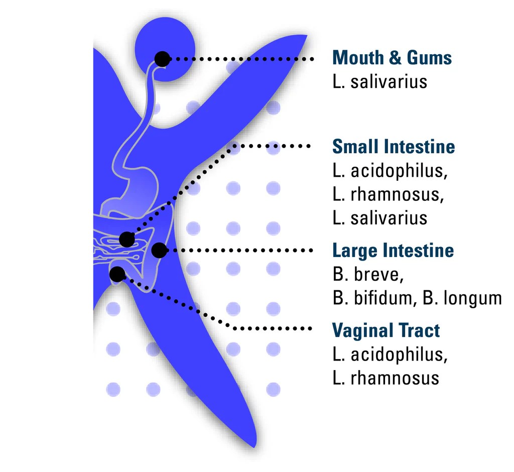 Learn about all the everyday ways you can save money, from using coupons to scoring freebies to finding frugal money hacks around the house. Kardish Team Do You Have a Happy Belly? You have trillions