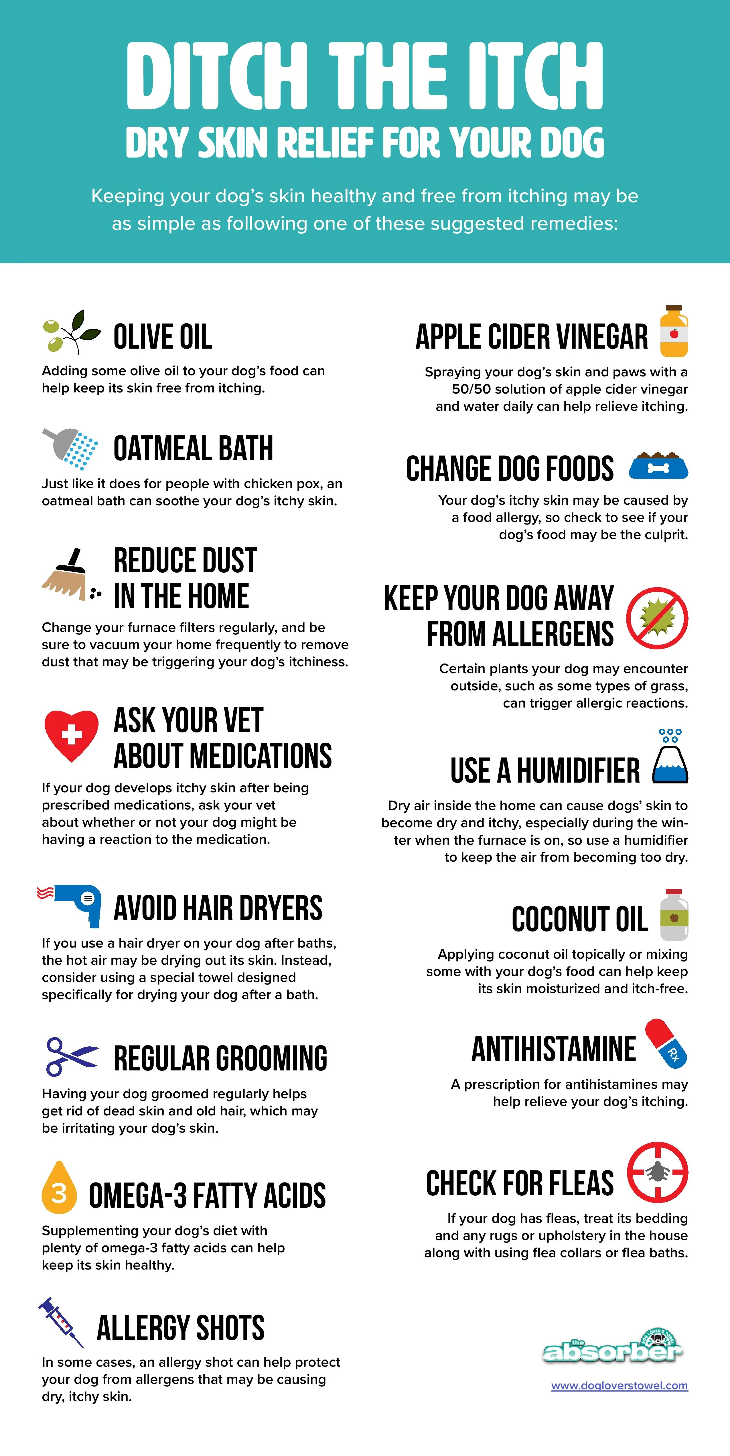 How to Soothe a Dog's Itchy Skin: Quick Relief Tips