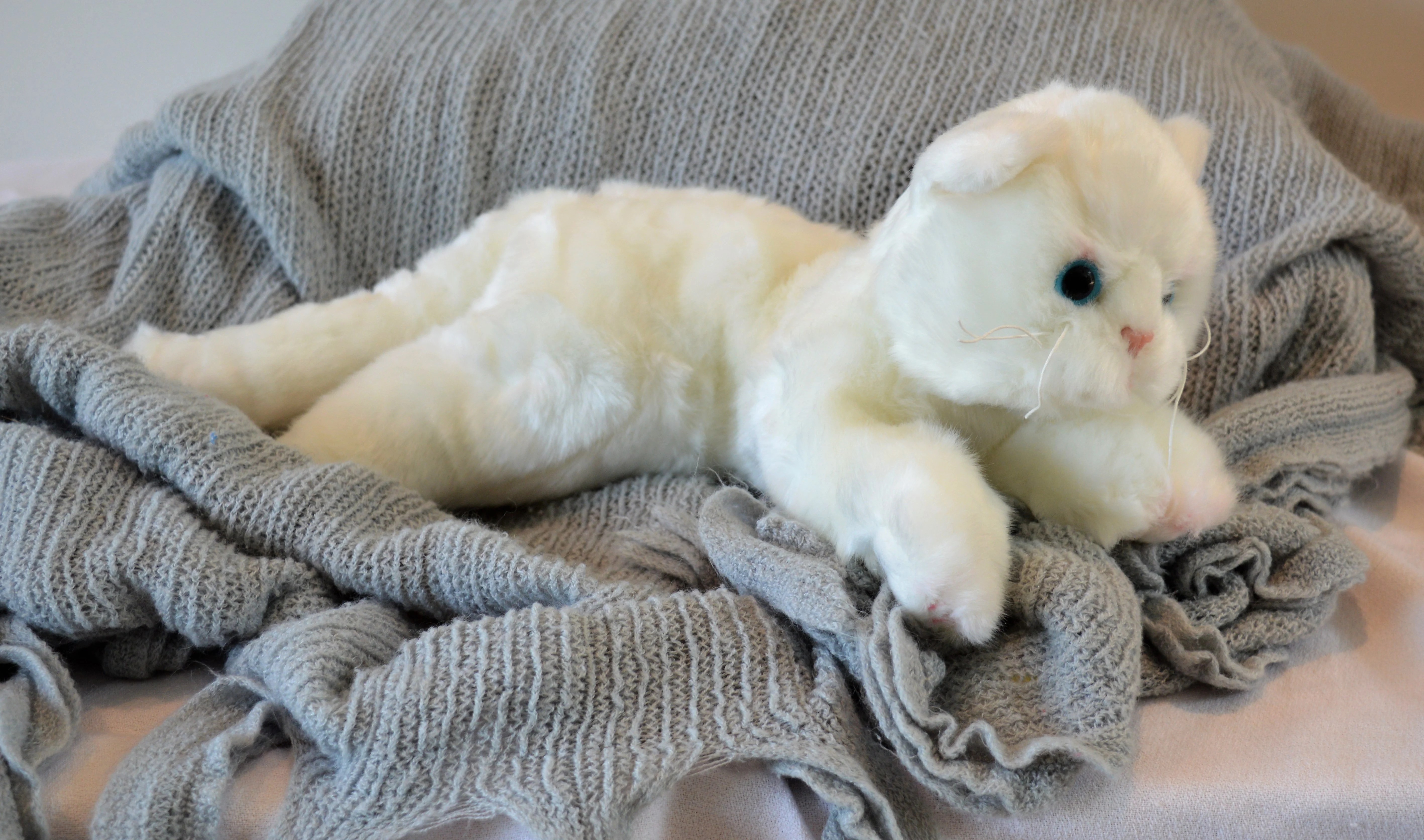 Small grey cat stuffed toy for seniors and people with alzheimer's
