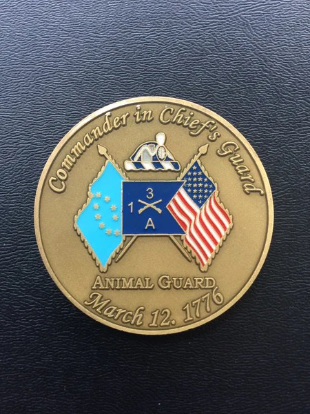 If you're looking for a way to serve your country, the air force is a great option. 3rd US Infantry Regiment (The Old Guard) CinC Guard