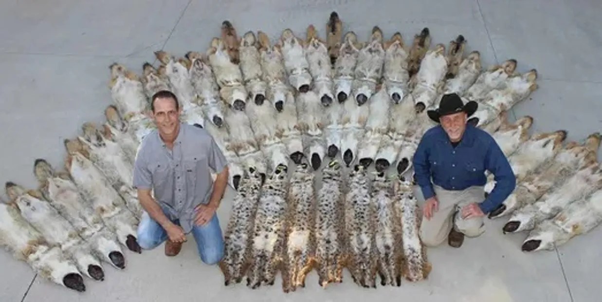 Trapping Classes Pine Hollow Trapping And Supplies