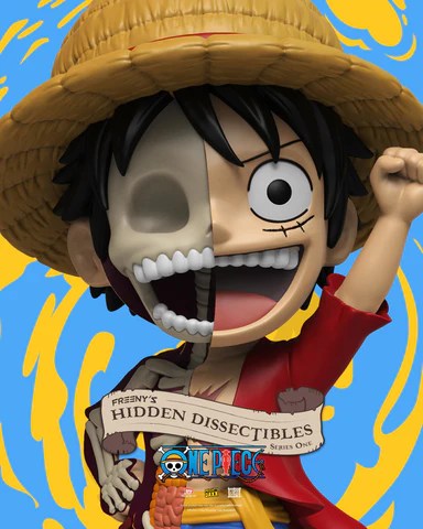 images One Piece Luffy Crew Members In Order meet the straw hat crew from one piece