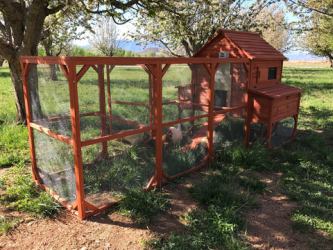 door coop chicken opener automatic kit combo premium runners extreme