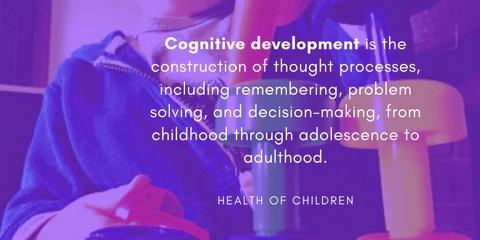 Early Childhood Development Cognitive Skills Skoolzy