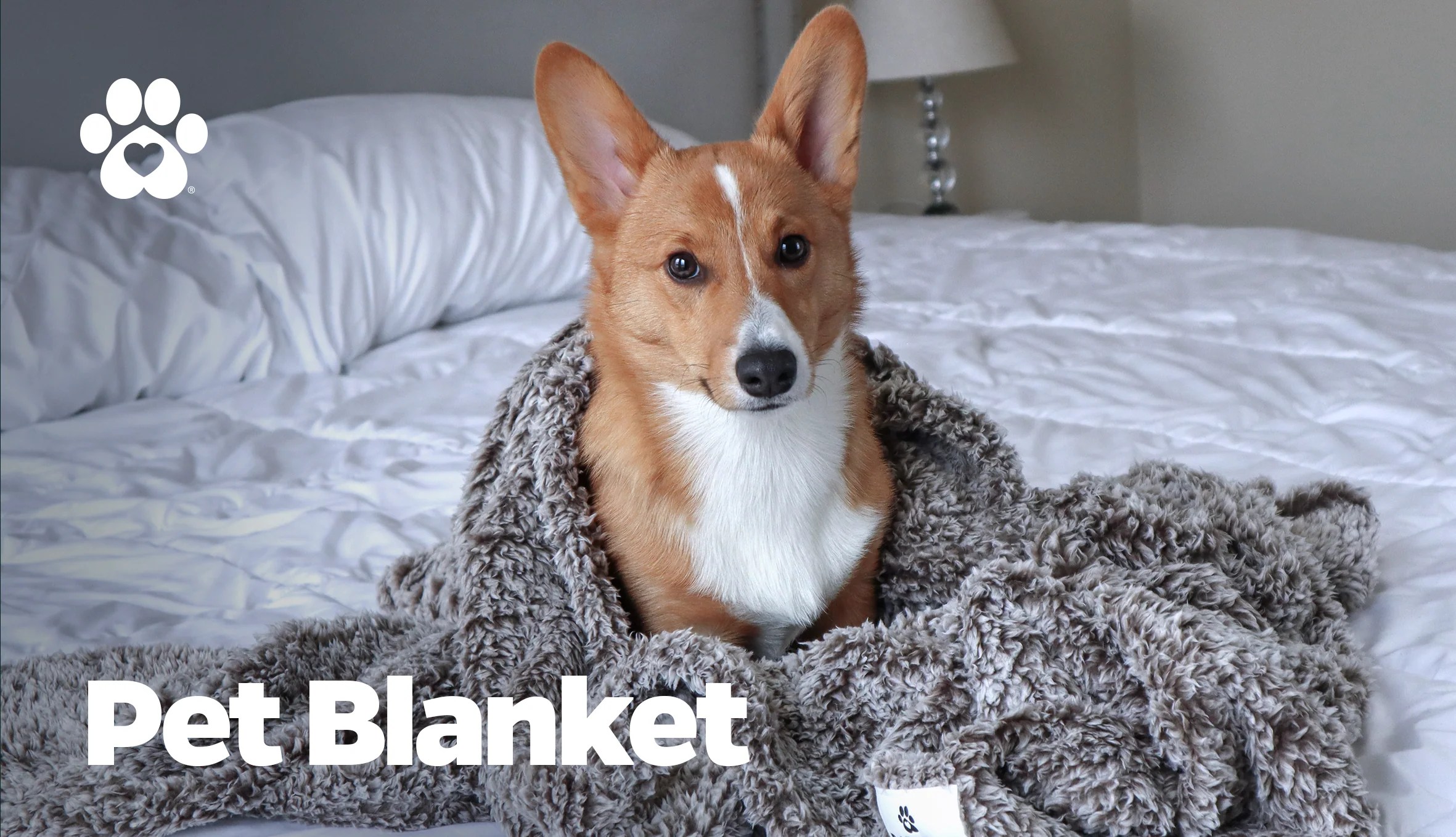 Kirkland signature machine washable luxury pet bed 42 diameter. Pet Parents Washing Instructions Diapers Bands Pee Pads More