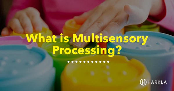 What Is Multisensory Processing