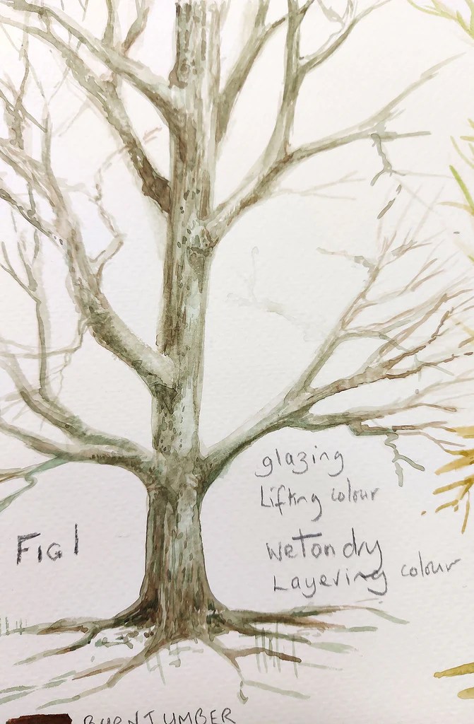 Get ideas for drawing in these. How To Paint Trees In Watercolour With A Limited Palette