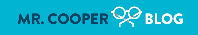 Mr Cooper Medium - Gorgeous 8K Sunset Images | Free Download