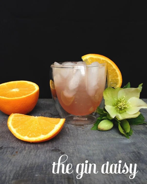 photo Gin Daisy (New School) the gin daisy feast west