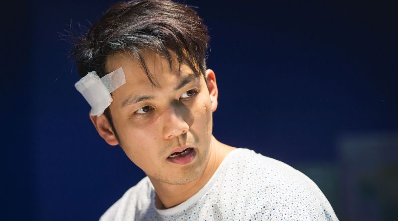 Artstation The Three - Gorgeous 4K Nature Textures | Free Download