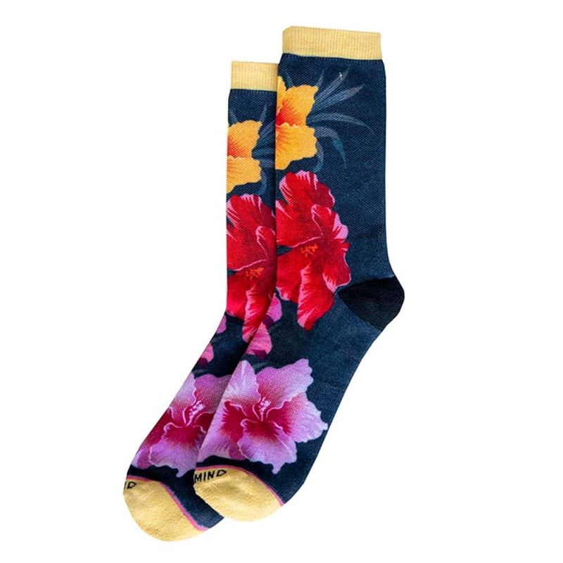 Socks Page New - Perfect Ultra HD Minimal Arts | Free Download