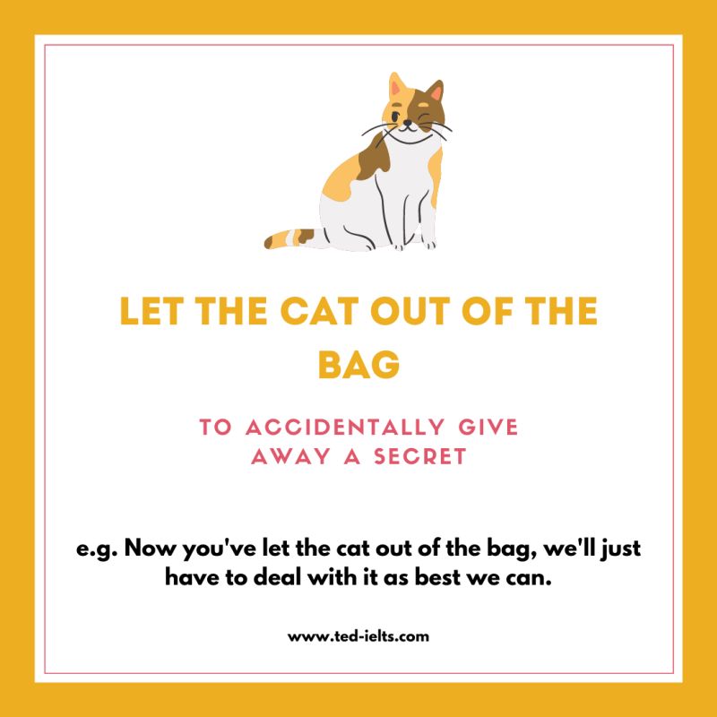 150 Idioms For Ielts Free Download Ted Ielts - City Designs - Professional Mobile Collection