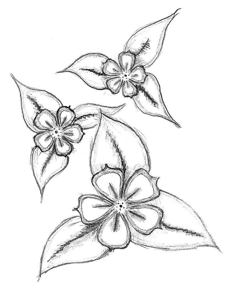 pix Drawing Ideas Easy Simple Flower Drawing Designs harunmudak