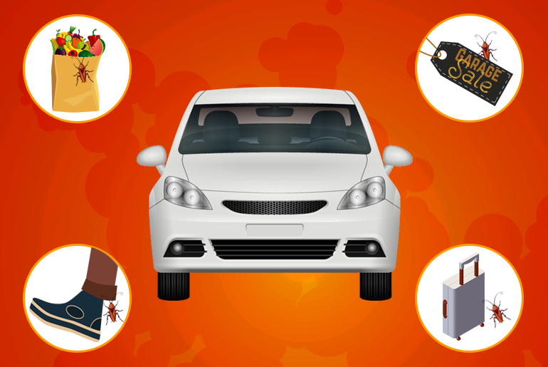 how to get rid of roaches in car interiorsthe right way - cockroach facts on how to get roaches out of car air vents