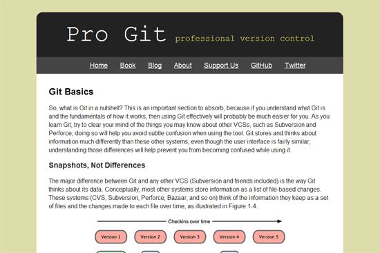 Pro Git