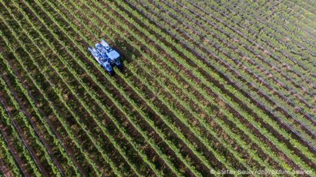 Cuts in European subsidies after 2027?
