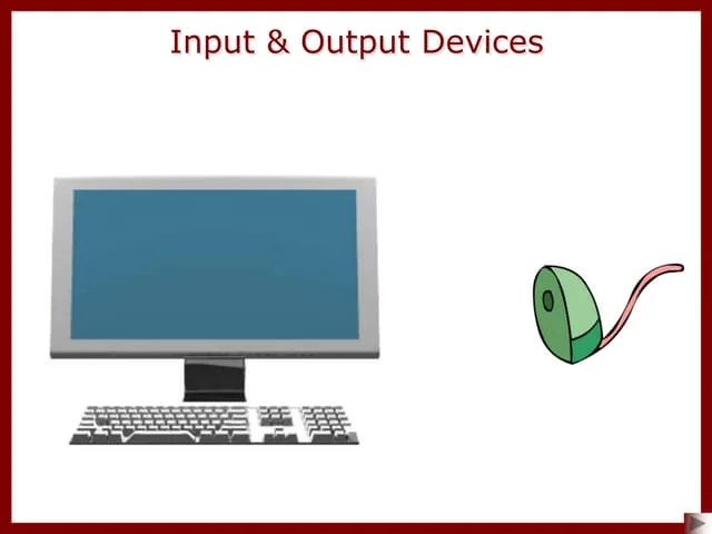 IGCSE ICT - Input And Output Devices - Input Devices And Their Uses ...