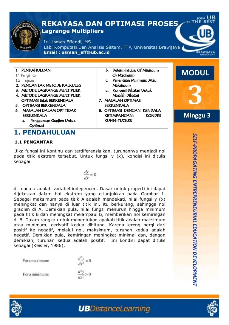 B) investasi langsung luar negeri. 3 Lagrange Multipliers