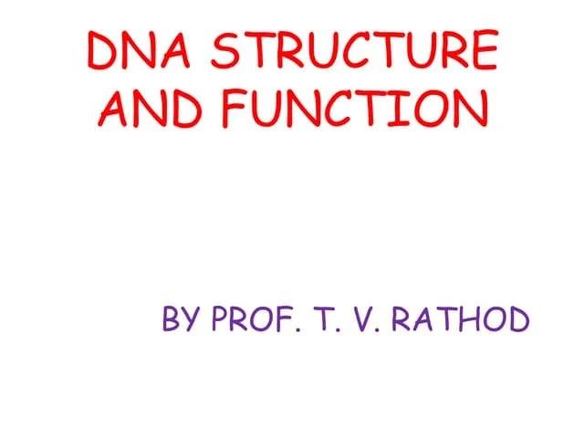 Chromosome Structure Function Pptx Genetics Science