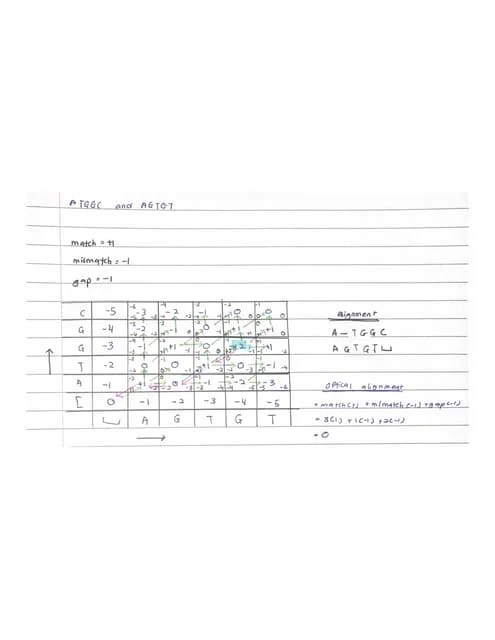 Alignment Algorithms.pdf