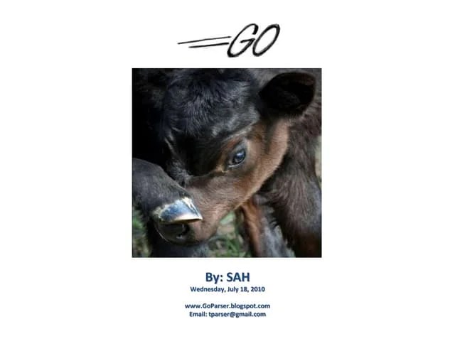 An Introduction To Go Programming Language | PDF | Programming ...