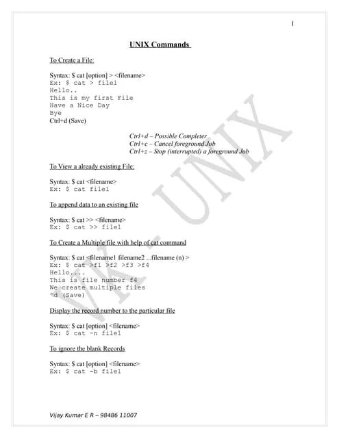 Basic Unix Commands | PDF