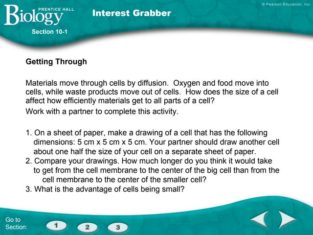 Cell Size Ppt Biological Sciences Science