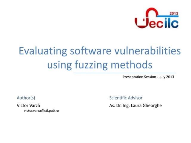 Evaluating Software Vulnerabilities Using Fuzzing Methods | PDF