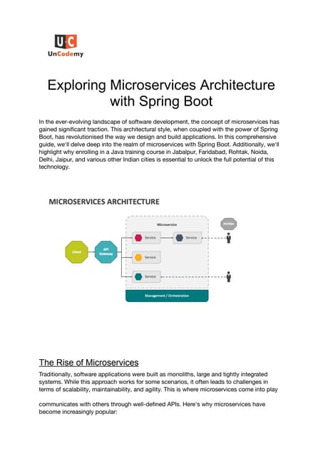 Everything You Need To Know About Java’s Spring Boot Microservices Architecture.pdf