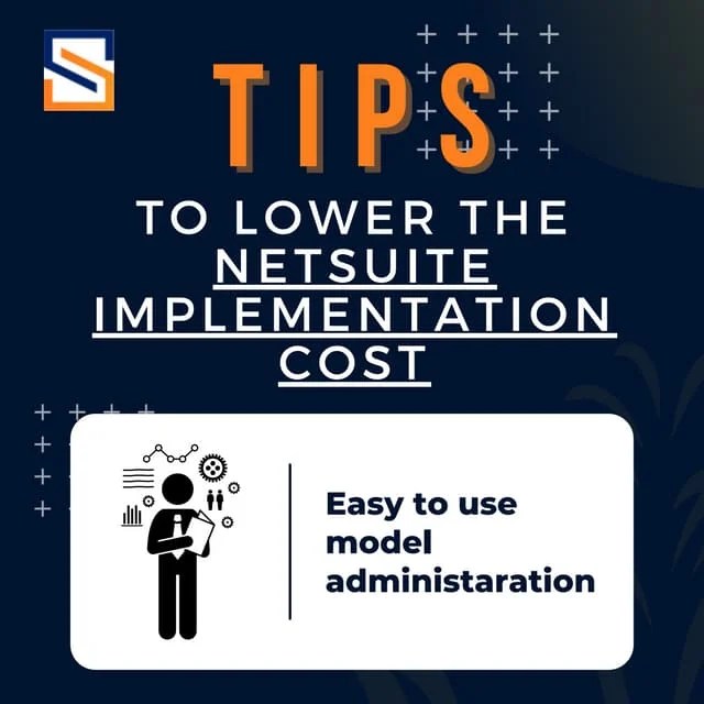 NetSuite Implementation Steps | PDF
