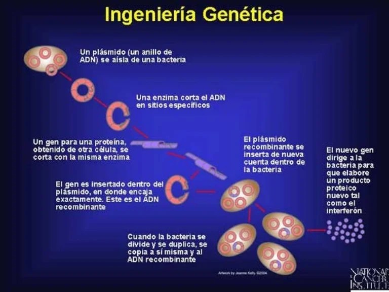 Imagen relacionada