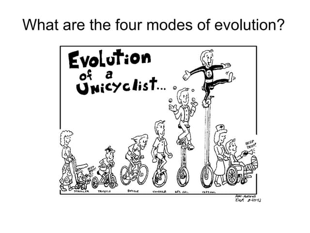Mechanisms Of Evolution Basic Ppt